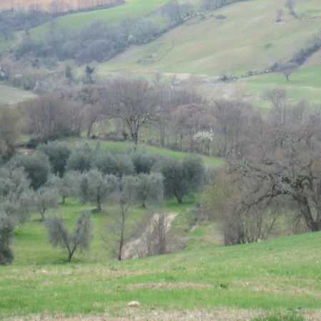 Agriturismo Casa Fibbianello Semproniano Exteriér fotografie