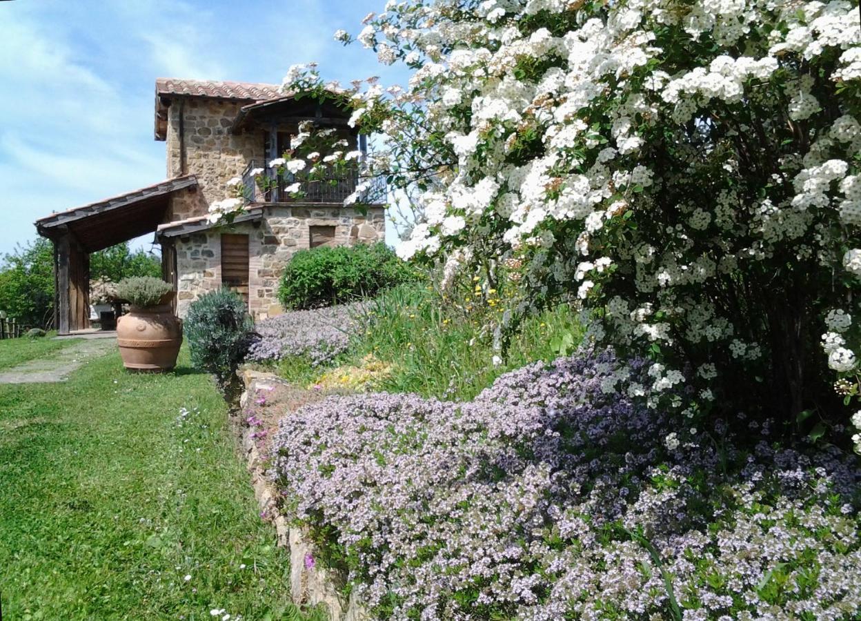 Agriturismo Casa Fibbianello Semproniano Exteriér fotografie