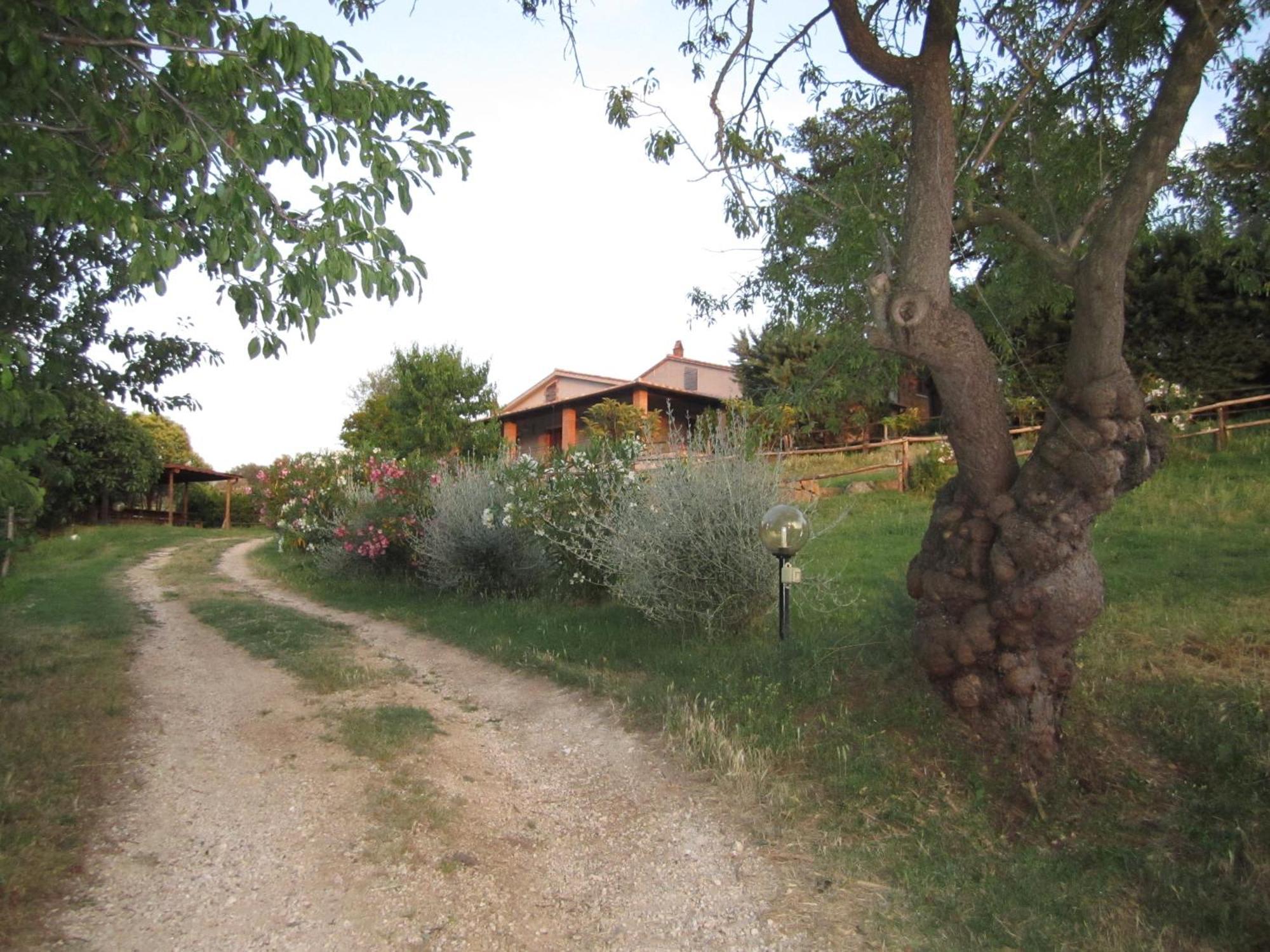 Agriturismo Casa Fibbianello Semproniano Exteriér fotografie