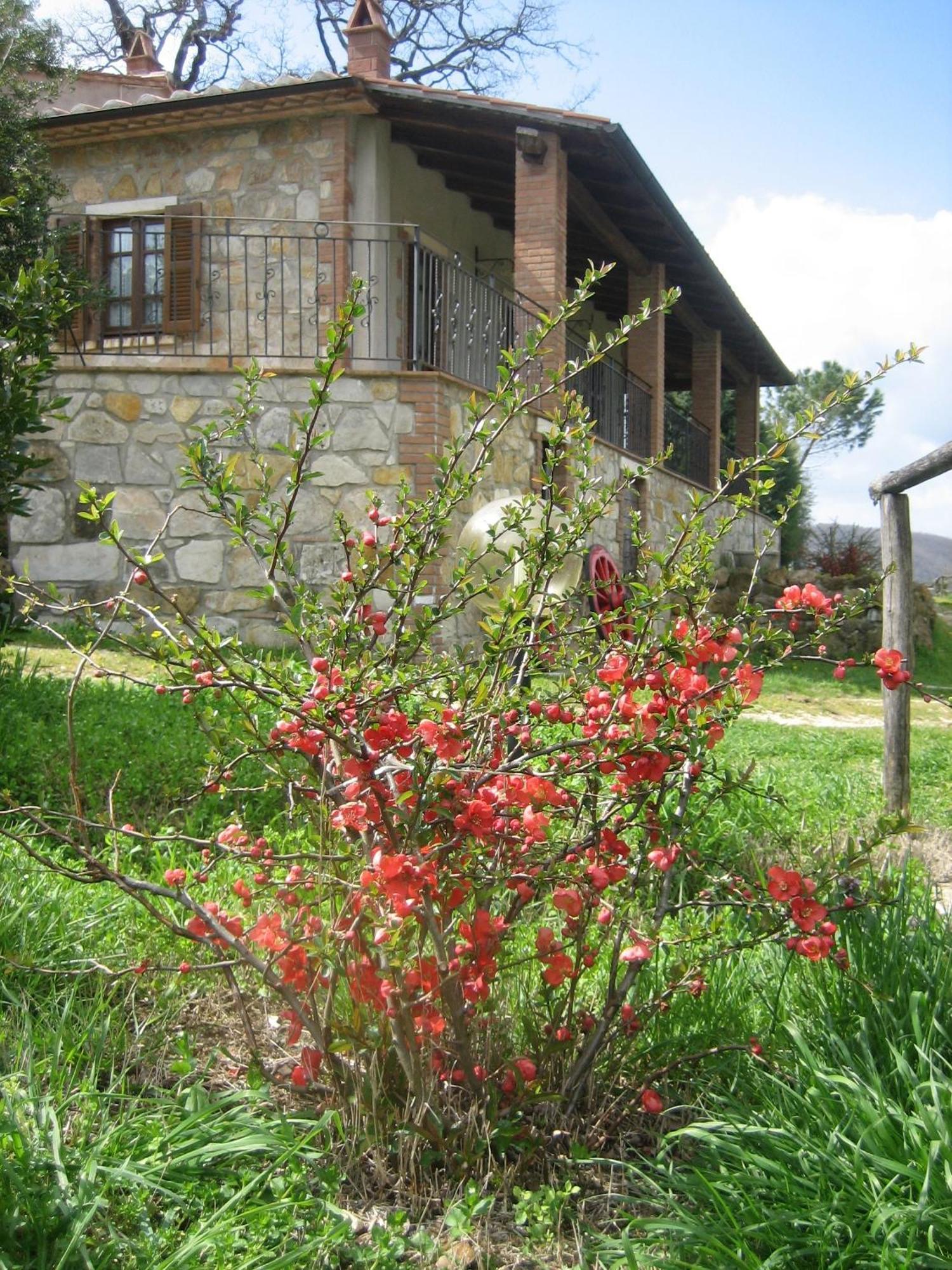 Agriturismo Casa Fibbianello Semproniano Exteriér fotografie