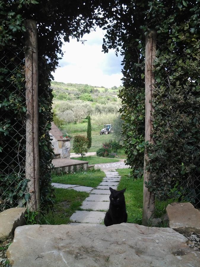 Agriturismo Casa Fibbianello Semproniano Exteriér fotografie